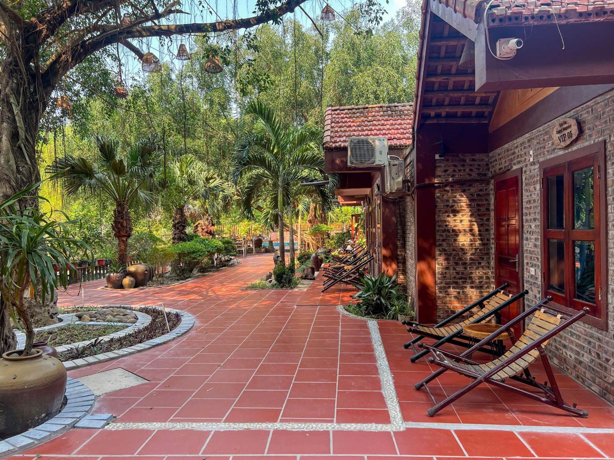Homestay Tam Coc Homestay-ninh Binh Vu Lam